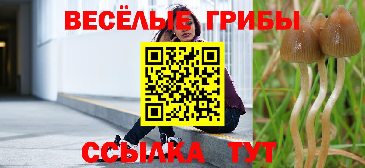 Псилоцибиновые грибы мицелий Янаул